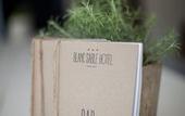 Туры в отель Blanc Sable Hotel
