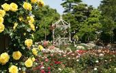 Туры в отель Hotel Nagashima
