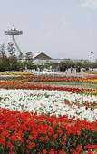 Туры в отель Hotel Nagashima