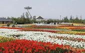 Туры в отель Hotel Nagashima