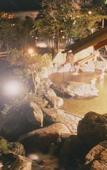 Туры в отель Hotel Nagashima