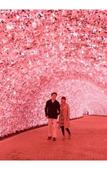 Туры в отель Hotel Nagashima
