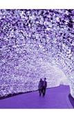 Туры в отель Hotel Nagashima