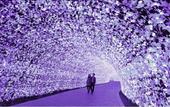 Туры в отель Hotel Nagashima
