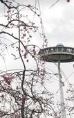 Туры в отель Hotel Nagashima