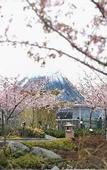 Туры в отель Hotel Nagashima