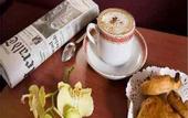 Туры в отель Vivaldi Hotel