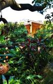 Туры в отель Hotel Amomoxtli