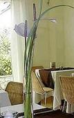 Туры в отель Hotel Senaria
