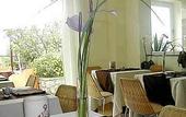 Туры в отель Hotel Senaria