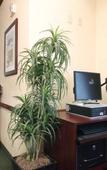 Туры в отель Comfort Inn & Suites Liverpool - Syracuse