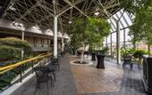 Туры в отель Sheraton Hotel Newfoundland