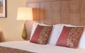 Туры в отель The Rose Hotel