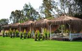 Туры в отель Tiana Beach Resort