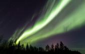 Туры в отель Ranua Resort Arctic Igloos