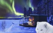 Туры в отель Ranua Resort Arctic Igloos