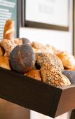 Туры в отель Landhotel Fettehenne
