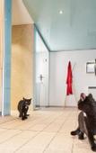 Туры в отель Landhotel Fettehenne