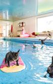 Туры в отель Landhotel Fettehenne