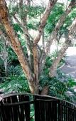 Туры в отель Big 5 Guest House Witbank