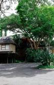 Туры в отель Big 5 Guest House Witbank
