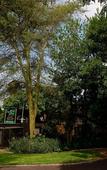 Туры в отель Big 5 Guest House Witbank