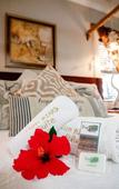 Туры в отель Big 5 Guest House Witbank