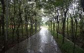 Туры в отель Orchard Home Resort Nam Cat Tien