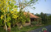 Туры в отель Orchard Home Resort Nam Cat Tien