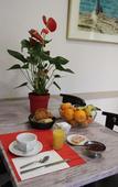 Туры в отель Hotel Le Provencal