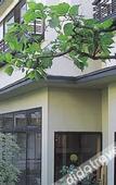 Туры в отель Wakaba Ryokan