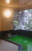 Туры в отель Wakaba Ryokan