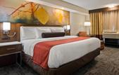 Туры в отель Holiday Inn Milwaukee-Brookfield, an IHG Hotels & Resorts property