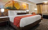 Туры в отель Holiday Inn Milwaukee-Brookfield, an IHG Hotels & Resorts property