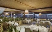 Туры в отель Nirvana Cosmopolitan Hotel