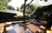 Туры в отель Ryokan Yamanoyu