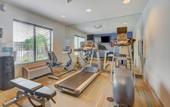 Туры в отель Holiday Inn Express & Suites Tampa USF Busch Gardens by IHG