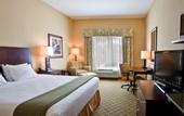 Туры в отель Holiday Inn Express & Suites Tampa USF Busch Gardens by IHG