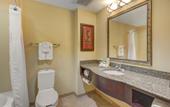 Туры в отель Holiday Inn Express & Suites Tampa USF Busch Gardens by IHG