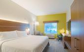 Туры в отель Holiday Inn Express & Suites Tampa USF Busch Gardens by IHG