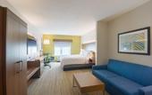 Туры в отель Holiday Inn Express & Suites Tampa USF Busch Gardens by IHG