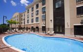 Туры в отель Holiday Inn Express & Suites Tampa USF Busch Gardens by IHG