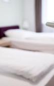 Туры в отель Hotel City Green Berlin