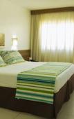 Туры в отель Hotel Canarius de Gravata