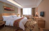 Туры в отель Vienna Hotel (Guangzhou Baiyun Airport Zhongluotan)