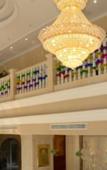 Туры в отель Vienna Hotel (Chongqing East Station Changshengqiao Metro Station)