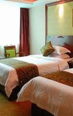 Туры в отель Vienna Hotel
