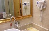 Туры в отель Vienna Hotel Dongguan Shatian Dongguan Port