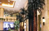 Туры в отель Blue Horizon Hotel