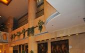 Туры в отель Blue Horizon Hotel